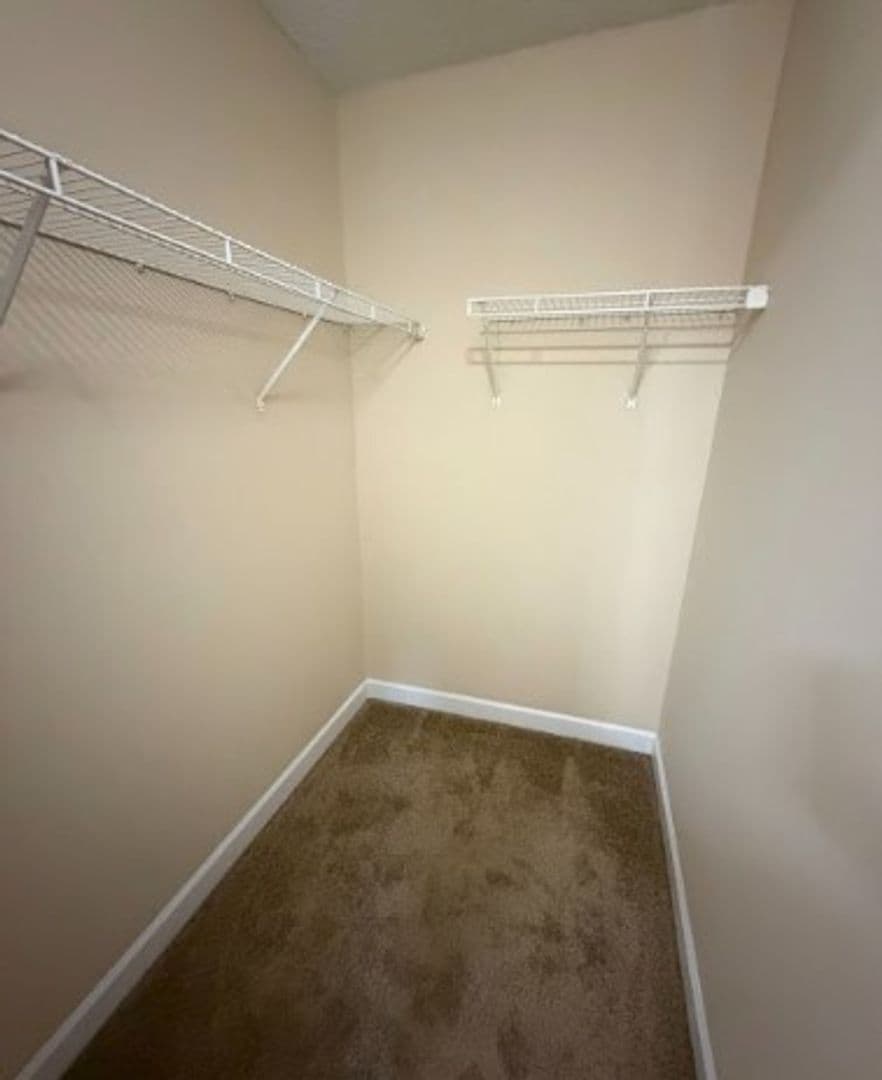 2420 Damascus Dr — photo 8